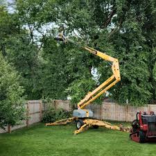 How Our Tree Care Process Works  in  Walla Walla East, WA